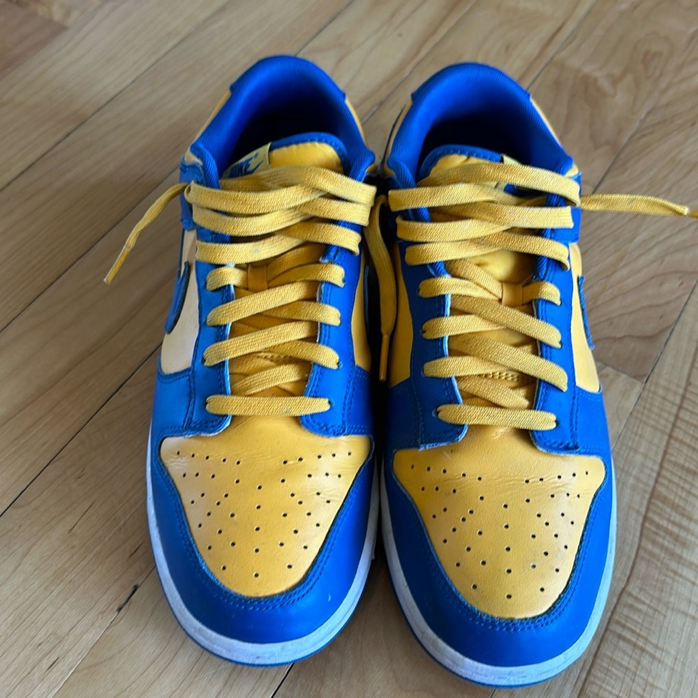 Nike Dunks Low